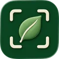 StudyLens icon